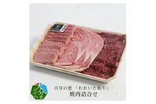 百年の恵 「おおいた和牛」 焼肉詰合せ約990g 牛肉 おおいた和牛 焼肉 詰め合わせ 豊後牛 ロース モモ カルビ 赤身 霜降り A01064