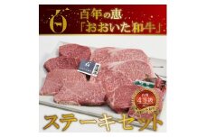 百年の恵 「おおいた和牛」 ステーキセット約800g  牛肉 ステーキセット 和牛 霜降り ロース モモ カルビ ヒレ 豊後牛 赤身 A01066