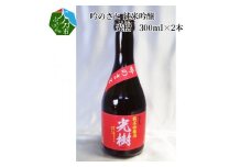 吟のさと 純米吟醸 光樹 300ml×2本 大分 日本酒 プレゼント 甘味 旨味 酸味 上品な香り 冷酒 熱燗 冷蔵 H02026