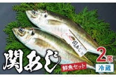 関あじ（鮮魚セット）2尾 ブランド魚 アジ 鯵 関アジ 新鮮 天然 生魚 国産 大分産 寿司 刺身 刺し身 海鮮丼 E04023