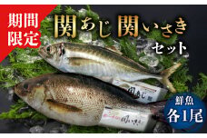 関あじ・関いさき（鮮魚）セット（各1尾） 関あじ 関いさき 鯵 イサキ 魚 鮮魚 ブランド魚 期間限定 佐賀関 セット 食品 塩焼き 刺身 姿焼き おかず E04022