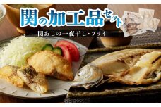 関の加工品セット あじ 一夜干し フライ セット おかず ふっくら サクサク 旨味凝縮 関アジ 関あじ 大分県 冷凍 E22019