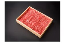豊後牛肩ロースしゃぶしゃぶ用600g 牛肉 豊後牛 牛肩 ロース しゃぶしゃぶ 赤身 霜降り 600g 大分県 冷凍 A01075