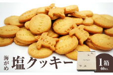海がめ塩クッキー充実BOX (57枚+子がめクッキー3枚) 箱入り なずなの塩 天然塩 国産 バター お菓子 洋菓子 クッキー おやつ 子ども 常温 J01018