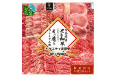 【定期便】大分県産黒毛和牛（おおいた和牛）・米の恵みプレミアム豚 バラエティ定期便 毎月6回お届け 牛肉 豚肉 しゃぶしゃぶ 焼肉 ロース ステーキ うす切り バラエティ 定期便 数量限定 A01081