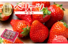 【先行予約※2025年2月下旬より発送開始】大分県ブランドいちご「ベリーツ」平大玉 約280g×2パック 大分 ブランド いちご 苺 イチゴ ベリーツ ストロベリー 大分県 箱入り ギフト 甘い C07007