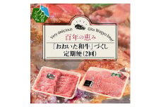 百年の恵み『おおいた和牛』づくし定期便（2回） 大分県 和牛 定期便 お肉 豊後牛 ブランド牛 バーベキュー キャンプ 焼肉 黒毛和牛 T10005