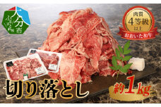 おおいた和牛　切り落とし　約1.0kg  牛肉 大分県産 和牛 使いやすい 牛丼 大ボリューム 国産 牛切り落とし 冷凍 1kg A01095