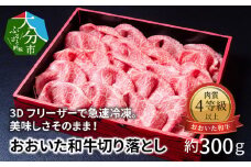 3Dフリーザーで急速冷凍。美味しさそのまま！おおいた和牛切り落とし　約300g 牛肉 和牛切り落とし 冷凍 赤身 霜降り ブランド牛 すき焼き しゃぶしゃぶ ギフト 極上 A01096