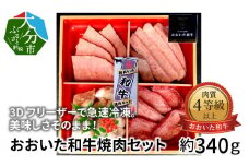 3Dフリーザーで急速冷凍。美味しさそのまま！おおいた和牛焼肉セット　約340g（秘伝のタレ3種類付き） 牛肉 和牛 焼肉 セット 霜降り ホルモン カルビ ロース タン タレ付き A01097