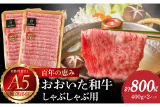 百年の恵み　おおいた和牛A5　しゃぶしゃぶ用【厳選部位】約800g 牛肉 和牛 しゃぶしゃぶ 霜降り ロース 肩ロース もも 厳選部位 A5 冷凍 A01102