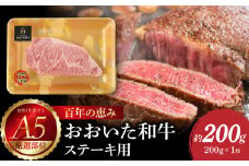 百年の恵み　おおいた和牛A5　ステーキ用【厳選部位】約200g 牛肉 和牛 ステーキ用 ロース 肩ロース サーロイン 厳選部位 A5 霜降り 冷凍 A01103