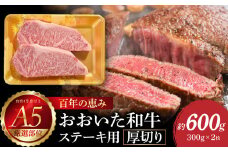 百年の恵み　おおいた和牛A5　ステーキ用厚切り【厳選部位】約600g 牛肉 和牛 ステーキ 厚切り A5 霜降り 厳選部位 ロース サーロイン 肩ロース A01104