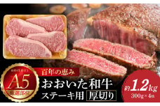 百年の恵み　おおいた和牛A5　ステーキ用厚切り【厳選部位】約1.2kg  牛肉 和牛 ステーキ 厚切り おおいた和牛 霜降り 肉厚 ロース サーロイン 肩ロース A01105