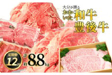 【プレミアム定期便】大分が誇る おおいた和牛・豊後牛毎月お届け定期便（12回） 大分県 おおいた和牛 お肉 豊後牛 ブランド牛 定期便 料理 すき焼き カルビステーキ 焼肉 T10020