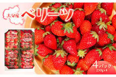 【先行予約※2025年2月下旬より発送開始】大分県ブランドいちご「ベリーツ」約250g×4パック ブランド イチゴ 苺 ベリーツ 果実 九州 フルーツ ギフト 甘い スイーツ C07010