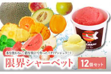 限界シャーベット 12個セット 水不使用 デザート 味 旬 果物 ジェラート アイス フルーツ 果肉 大分 J06019