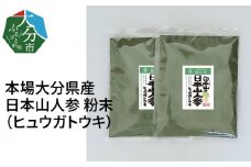 日本山人参（ヒュウガトウキ）粉末　本場大分県産 大分県 苦味 日本山人参 粉末 お茶 料理 常温  健康 味噌汁 茶碗蒸し F09002
