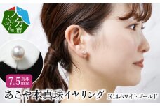 あこや本真珠イヤリング　真珠7.5mm　14Kホワイトゴールド アクセサリー ジュエリー シンプル パール 高品質 贈り物 天然 真珠 冠婚葬祭 レディース R14111