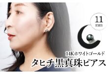 タヒチ黒真珠ピアス　真珠11mm　14Kホワイトゴールド アクセサリー ジュエリー パール 冠婚葬祭 良質 シンプル 贈答用 自分用 保証書 おしゃれ R14116