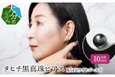 タヒチ黒真珠ピアス　真珠10mm　14Kホワイトゴールド アクセサリー ジュエリー パール 冠婚葬祭 良質 シンプル 贈答用 自分用 保証書 おしゃれ R14115
