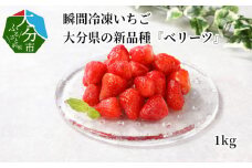 瞬間冷凍いちご　大分県の新品種『ベリーツ』1kg いちご イチゴ 苺 大分県産 スムージー ジャム ベリーツ かき氷 高糖度 瞬間冷凍 冷凍 フレッシュ フルーツ 果物 C07011