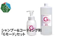 シャンプー&コーティング剤「Gモード」1,000ml＆250mlセット 洗車 カー カー用品 防汚 コーティング 艶 撥水 シャンプー 洗浄 泡 R14133