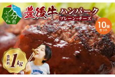 豊後牛ハンバーグ（プレーン・チーズ入り）　合計10個セット（合計約1kg） 豊後牛 ハンバーグ プレーン チーズ入り 加工品 ブランド牛 黒毛和牛 お弁当 おかず フライパン調理 A05065