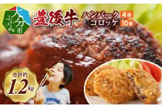 豊後牛ハンバーグ（4個）＆コロッケ（10個）セット 豊後牛 ハンバーグ コロッケ 贅沢 簡単調理 お弁当 ブランド牛 黒毛和牛 冷凍 大分県 A05066