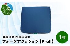腰痛予防に！体圧分散 フォーケアクッションProⅡ 大分県 座布団 高反発 背あて 座面 腰痛予防 うっ血防止 防水 メッシュ 通気性 R11003