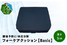 腰痛予防に！体圧分散 フォーケアクッションBasic　厚さ5㎝ 座り心地良い メッシュ生地 背あて 座面 腰痛予防 快適 すべり止め加工 デスクワーク 座布団 体圧分散 R11006