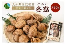 大分県産乾椎茸　冬菇（どんこ）　ギフト箱入り　230g 大分 特産品 しいたけ 肉厚 特産品 干し椎茸 出汁 料理 ギフト 箱入り F07035