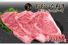 厳選A4～A5等級 おおいた和牛 サーロインステーキ 3枚 600g  牛肉 和牛 霜降り 赤身 サーロインステーキ 冷凍 おおいた和牛 柔らかい 大分県 大分市 A01130