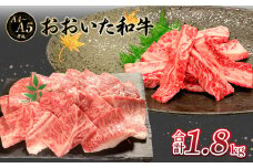 厳選A4～A5等級 おおいた和牛 中落ちカルビ・肩ロース焼肉用セット 合計1.8kg 牛肉 和牛 カルビ 肩ロース 焼肉用 霜降り 厳選 中落ちカルビ 冷凍 大分県 A01128