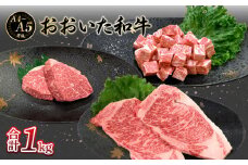 厳選A4～A5等級 おおいた和牛3種（シャトーブリアン・サーロイン・サイコロ）ステーキセット 合計1㎏ 牛肉 和牛 ステーキセット サーロイン サイコロステーキ 希少部位 霜降り 大分県 厳選 シャトーブリアン A01126