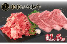 厳選A4～A5等級 おおいた和牛 サーロインステーキ・切り落としセット 合計1.6㎏  牛肉 和牛 サーロインステーキ 切り落とし セット 赤身 大分県 霜降り すき焼き シチュー A01124