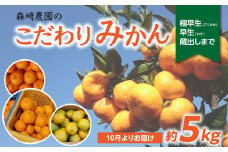 森﨑農園のこだわりみかん　約5kg　極早生～早生～蔵出しまで みかん ミカン 蜜柑 極早生 大分 極早生みかん 蔵出しみかん 早生 果物 フルーツ おやつ 常温 甘み 産地 直送 C09023