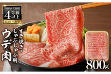 A4等級以上　百年の恵おおいた和牛　すき焼き・しゃぶしゃぶ用ウデ800ｇ　おおいた和牛認定取り扱い店　株式会社はしづめ おおいた和牛 ウデ肉 すき焼き しゃぶしゃぶ 霜降り サシ A4等級 豊後牛 大分 牛肉 A01137