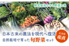 【F01005】むかし野菜の邑　大分市産直　自然栽培の野菜セット