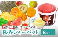 【お中元 ギフト のし 対応可】限界シャーベット 8個セット《7/1～8/8の期間にお届け》 シャーベット ジェラート イタリアンジェラート アイス 氷菓 果物 和三盆糖 ストロベリー 詰め合わせ ギフト お中元 J06005-S