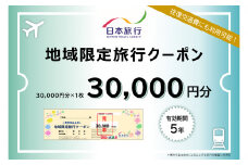 大分県大分市 日本旅行 地域限定旅行クーポン 【30,000円分】 旅行 パッケージ旅行 観光 体験 宿泊 航空券 JR券 レンタカー 入場券 温泉 O02049