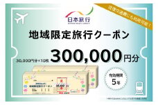 大分県大分市 日本旅行 地域限定旅行クーポン 【300,000円分】 旅行 パッケージ旅行 観光 体験 宿泊 航空券 JR券 レンタカー 入場券 ゴルフ O02053