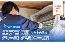 壁掛けエアコンクリーニング洗浄サービス（お掃除機能なし）【大分市内の住居限定】 空調 掃除 チケット 清潔 クリーニング 贈答 清掃 プロ 安心 防カビ P01060