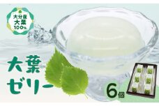 大葉ゼリー 6個入り 大分産 大葉 しそ 紫蘇 ゼリー スイーツ おやつ シャーベット 手作り デザート J05008