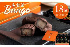 南蛮菓 Bungo 18個入り 和洋折衷 銘菓 贈答 チョコレート生地 贈り物 お土産 ラム酒 刻みレーズン お菓子 餡 J01048