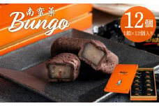 南蛮菓 Bungo（ぶんご） 12個入り 和菓子 銘菓 贈答 チョコレート 贈り物 お土産 ラム酒 レーズン お菓子 餡 J01047