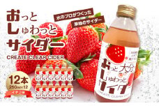 Create Clear Cider イチゴ 飲料 炭酸 サイダー ピュアウォーター 果汁 みず 水 ウォーター SDGs いちご I06002