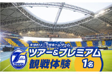 大分トリニータホームゲームツアー＆プレミアム観戦体験（1名） チケット 券 体験チケット サッカー観戦 スポーツ観戦 見学 Jリーグ サッカー スポーツ トリニータ P01079