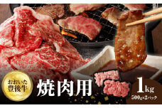 おおいた豊後牛 焼肉用 1kg 牛肉 和牛 国産 豊後牛 ブランド牛 霜降り 焼肉用 バーベキュー BBQ 冷凍 A01144