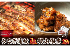 うなぎ料理入舟 蒲焼3尾＋鰻山椒煮 ミシュラン掲載 ウナギ 鰻 地焼き 専門店 おかず 酒肴 お茶漬け おつまみ 山椒 うな重 E07007 